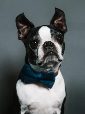 Oliver